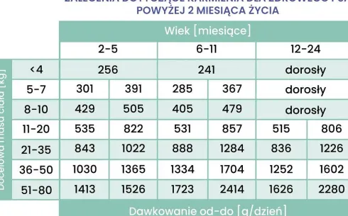 Perro Gourmet Junior Konina z Dynią Mokra Karma dla szczeniaka op. 400g