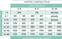 Perro Gourmet Junior Konina z Dynią Mokra Karma dla szczeniaka op. 400g Pakiet 6szt.