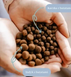 Perro Indyk z batatami Sucha Karma dla psa op. 12kg