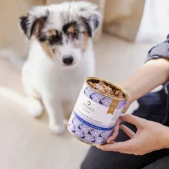 Perro Junior Królik z dynią Mokra Karma dla szczeniaka op. 400g