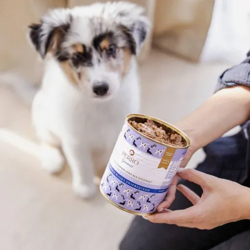 Perro Junior Królik z dynią Mokra Karma dla szczeniaka op. 400g Pakiet 6szt.