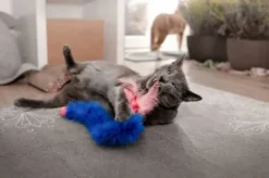 Pet Supplies Cat Zabawka Bouncing Boa dla kota nr kat. PS0004 WYPRZEDAŻ