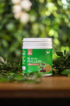 Pokusa RawDietLine Psyllium Babka Płeszcznik dla psa i kota op. 100g