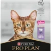 Pro Plan Cat Delicate Digestion z Indykiem Sucha Karma dla kota op. 1.5kg + Podkładka pod Miskę GRATIS