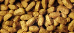 Pro Plan Cat Sterilised Renal Plus z Indykiem Sucha Karma dla kota op. 10kg + Podkładka pod Miskę GRATIS