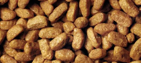 Pro Plan Cat Sterilised Vital Functions Salmon Sucha Karma dla kota op. 10kg + Podkładka pod Miskę GRATIS