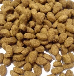 Purina Cat Chow Adult Sterilised Sucha Karma dla kota op. 15kg + Rękawica Pielęgnacyjna GRATIS