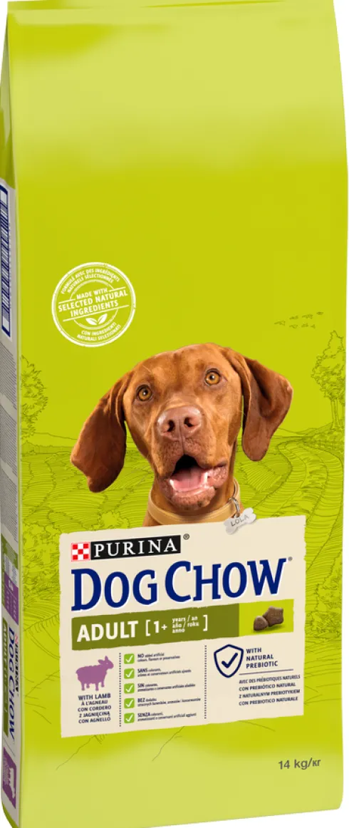 Purina Dog Chow Adult Lamb Sucha Karma dla psa op. 2x14kg MEGA-PAK