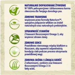 Purina Dog Chow Adult Large Sucha Karma dla psa op. 14kg