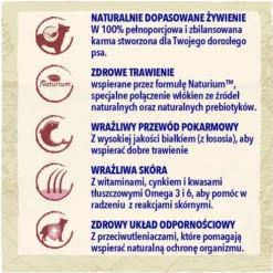 Purina Dog Chow Adult Sensitive Sucha Karma dla psa op. 14kg