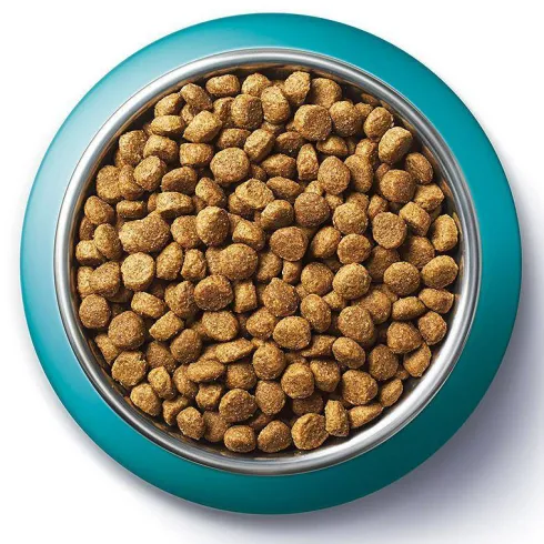 Purina ONE Cat Adult z Wołowiną Sucha Karma dla kota op. 800g