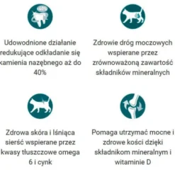 Purina ONE Cat Adult z Wołowiną Sucha Karma dla kota op. 800g