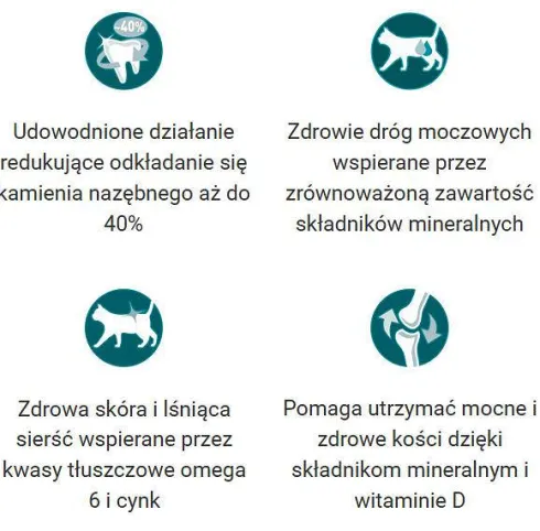 Purina ONE Cat Adult z Wołowiną Sucha Karma dla kota op. 800g