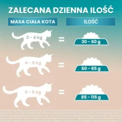 Purina ONE Cat Grain Free Adult z Łososiem Sucha Karma dla kota op. 1.1kg