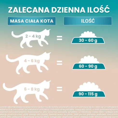 Purina ONE Cat Grain Free Sterilcat z Wołowiną Sucha Karma dla kota op. 1.1kg