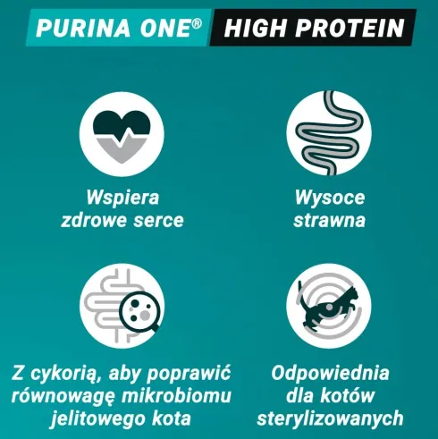 Purina ONE Cat High Protein Adult Chicken Sucha Karma dla kota op. 900g