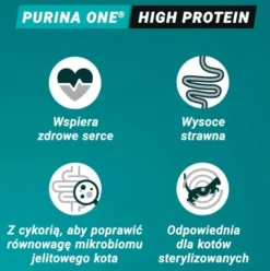 Purina ONE Cat High Protein Adult Salmon Sucha Karma dla kota op. 900g