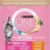 Purina ONE Cat Junior z Kurczakiem Sucha Karma dla kociąt op. 800g
