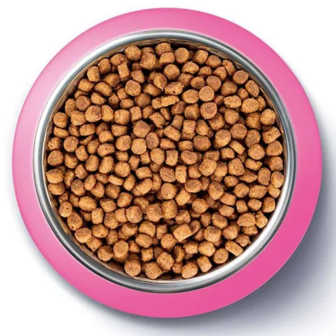 Purina ONE Cat Junior z Kurczakiem Sucha Karma dla kociąt op. 800g