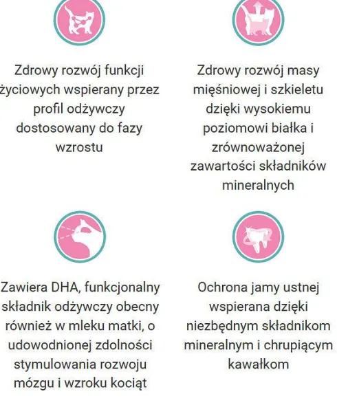 Purina ONE Cat Junior z Kurczakiem Sucha Karma dla kociąt op. 800g