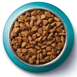 Purina ONE Cat Sterilcat z Łososiem Sucha Karma dla kota op. 800g