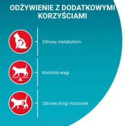 Purina ONE Cat Sterilcat z Wołowiną Sucha Karma dla kota op. 3kg