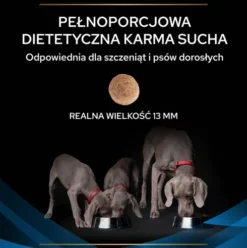 Purina Veterinary Diets DRM Dermatosis Sucha Karma dla psa op. 2x12kg MEGA-PAK