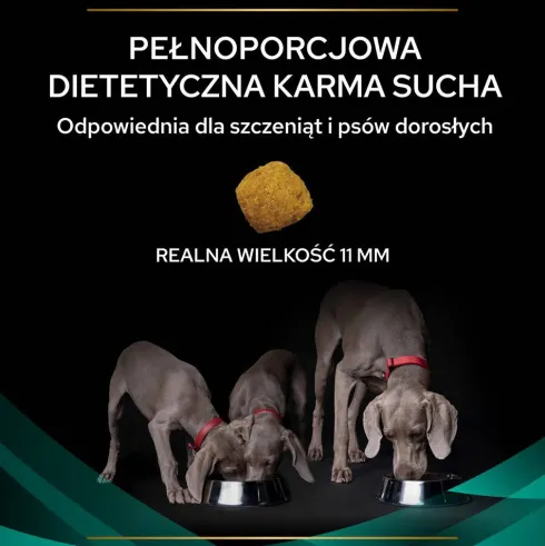 Purina Veterinary Diets EN Gastro Intestinal Sucha Karma dla psa op. 12kg