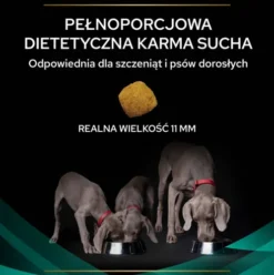 Purina Veterinary Diets EN Gastro Intestinal Sucha Karma dla psa op. 2x12kg MEGA-PAK