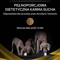 Purina Veterinary Diets JM Joint Mobility Sucha Karma dla psa op. 2x12kg MEGA-PAK