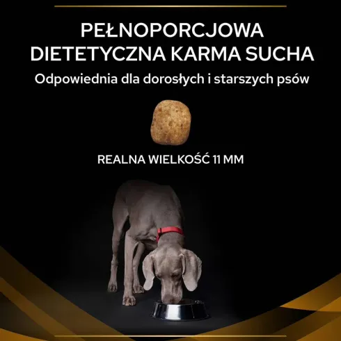 Purina Veterinary Diets NF Renal Function Sucha Karma dla psa op. 12kg