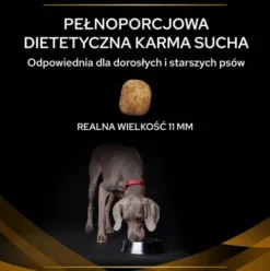Purina Veterinary Diets NF Renal Function Sucha Karma dla psa op. 2x12kg MEGA-PAK