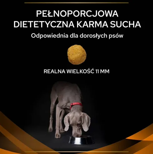 Purina Veterinary Diets OM Obesity Management Sucha Karma dla psa op. 2x12kg MEGA-PAK