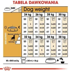Royal Canin Adult Boxer Sucha Karma dla psa op. 12kg WYPRZEDAŻ OSTATNIA SZTUKA