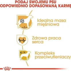 Royal Canin Adult Boxer Sucha Karma dla psa op. 12kg WYPRZEDAŻ OSTATNIA SZTUKA