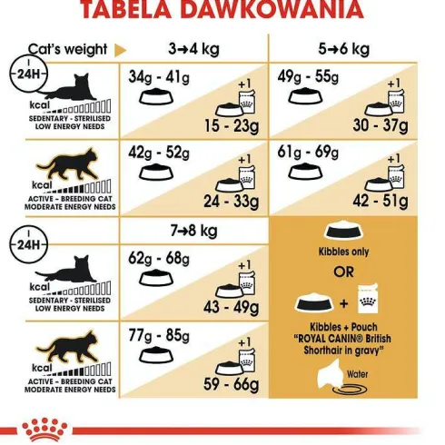 Royal Canin Adult British Shorthair Sucha Karma dla kota op. 2kg WYPRZEDAŻ