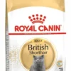 Royal Canin Adult British Shorthair Sucha Karma dla kota op. 4kg