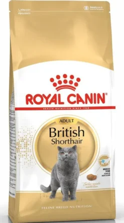 Royal Canin Adult British Shorthair Sucha Karma dla kota op. 4kg