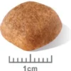 Royal Canin Adult Cavalier King Charles Sucha Karma dla psa op. 1.5kg