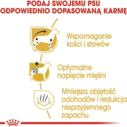 Royal Canin Adult Dachshund Sucha Karma dla psa op. 1.5kg