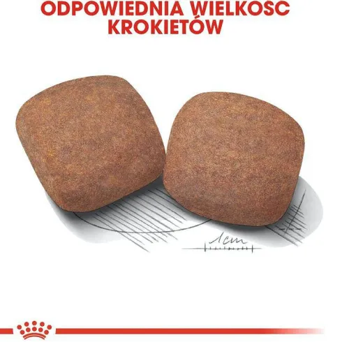 Royal Canin Adult Giant Sucha Karma dla psa op. 15kg