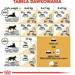 Royal Canin Adult Maine Coon Sucha Karma dla kota op. 10kg