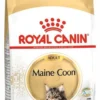 Royal Canin Adult Maine Coon Sucha Karma dla kota op. 2kg