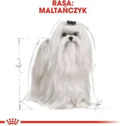 Royal Canin Adult Maltese Sucha Karma dla psa op. 1.5kg