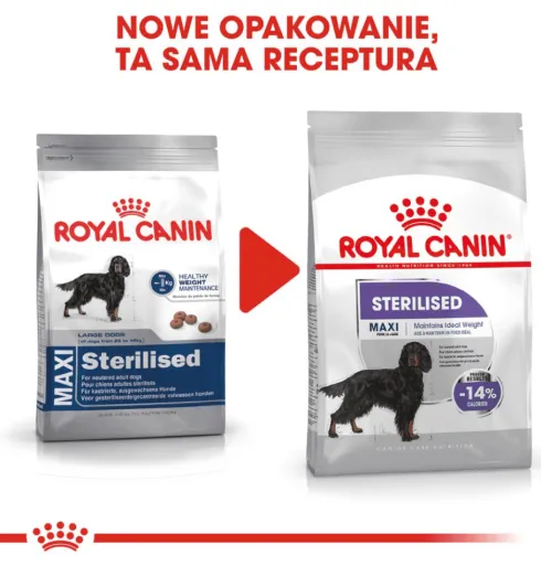 Royal Canin Adult Maxi Sterilised Sucha Karma dla psa op. 12kg