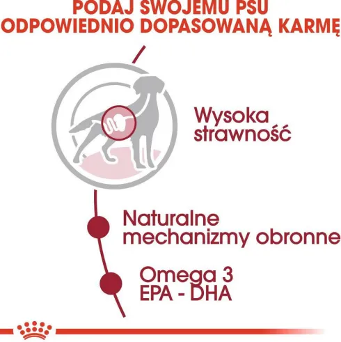 Royal Canin Adult Medium Mokra Karma dla psa op. 140g Pakiet 10szt.