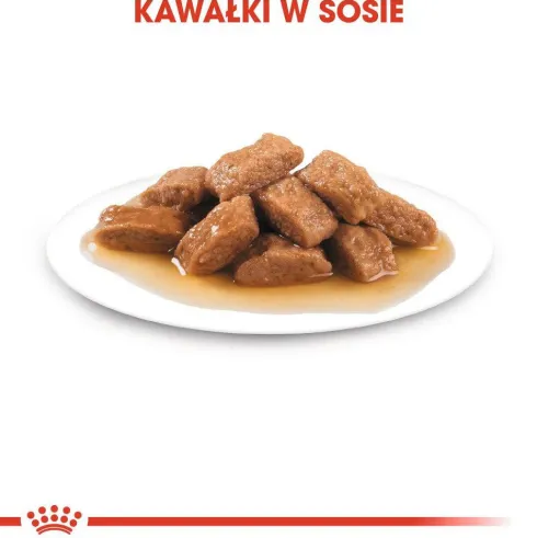 Royal Canin Adult Medium Mokra Karma dla psa op. 140g Pakiet 10szt.