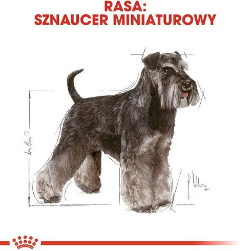 Royal Canin Adult Miniature Schnauzer Sucha Karma dla psa op. 7.5kg