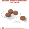 Royal Canin Adult Mini Digestive Care Sucha Karma dla psa op. 3kg