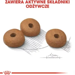 Royal Canin Adult Mini Light Weight Care Sucha Karma dla psa op. 3kg